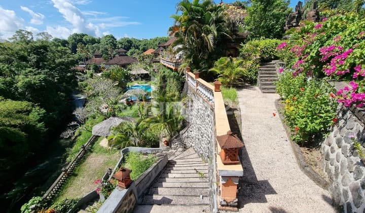 Reduced Price - FREEHOLD – Unique 30 Bedroom Complex in Paradise