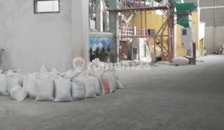 Pabrik Beras Aktif Lokasi di Lamongan