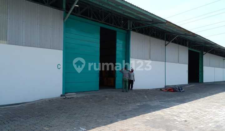 Gudang Baru Harga murah di LIK Kaligawe Gudang Baru Harga murah di LIK Kaligawe