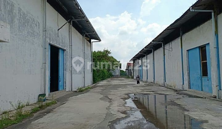 Warehouse with SHM Ex Shoe Factory, Land Area 48260 m2, Building Area 21546 m2 in Tambak Sawah, Sidoarjo.