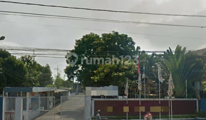 Ex Factory Driyorejo Cups Cheap Below Market Price