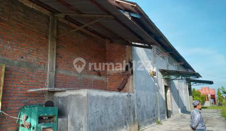For Rent Warehouse LT 3000 m2 LB 1500 m2 in Bangsal Mojosari Mojokerto