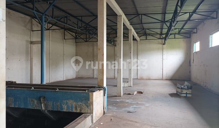 Eks lahan ternak ikan koi