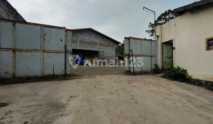 Cheapest Plywood Factory on Jl Arjuno Purwodadi. Pasuruan.