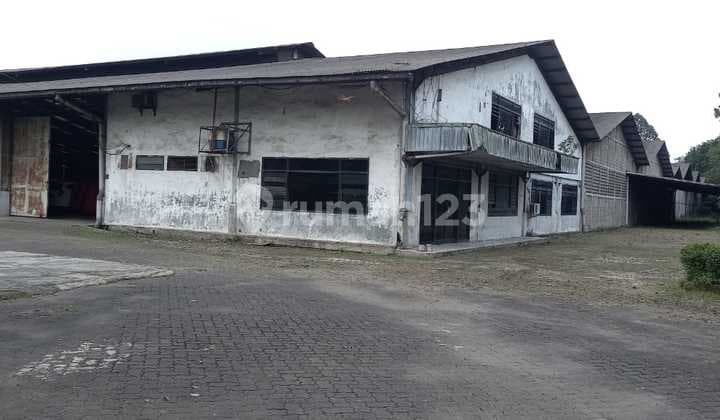 GUDANG PLONG DI SERANG-BANTEN