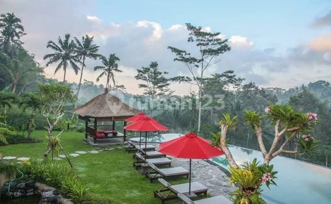 View terbaik di Ubud, Villa Rental dengan 7 kamar di Kelusa, Ubud