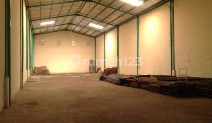 WAREHOUSE OF PRIMATERA