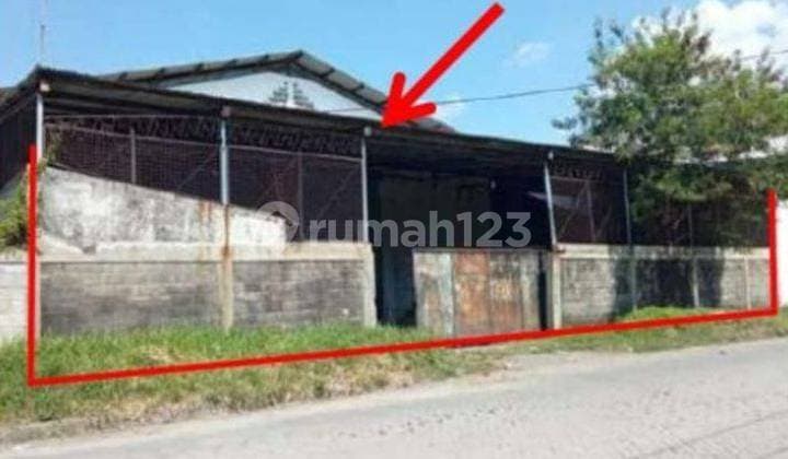 Warehouse in Suri Mulia Surabaya