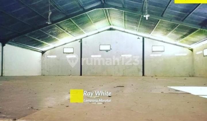 Gudang murah di Pringsewu Lampung