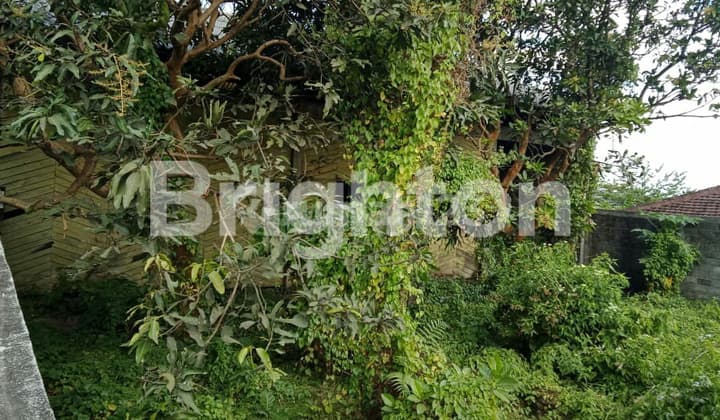 Gudang Di Jalan Poros Propinsi Dilawang