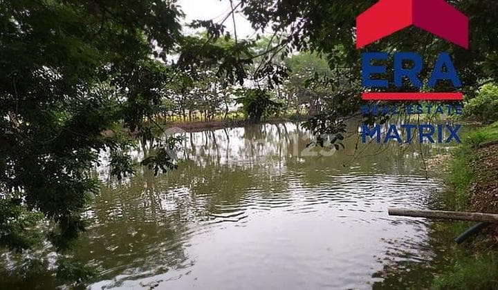 PEMANCINGAN GALATAMA SIRKULASI AIR LANGSUNG DARI IRIGASI DI çç