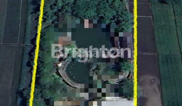 TANAH USAHA, SIAP PAKAI! KONDISI SUDAH ADA BANGUNAN DAN ADA KOLAM!! COCOK UNTUK USAHA KULINER DAN TEMPAT WISATA!! SANGAT STRATEGIS DAN AKSES MUDAH!! ISTIMEWA