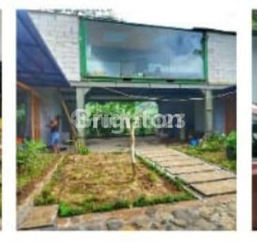 cotage dng view cantik di kawasan wisata Bromo