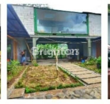 cotage dng view cantik di kawasan wisata Bromo