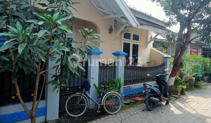 Hunian Bagus Taman Ciruas Permai SHM Nego Sampai Deal