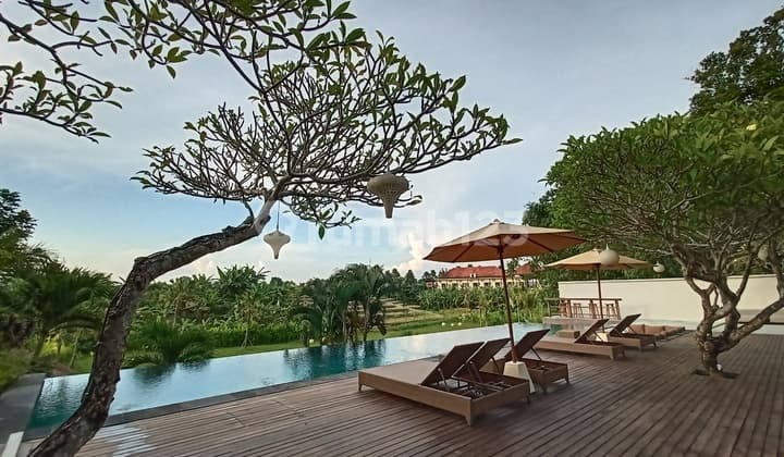 Villa Exclusive Luas Babakan Canggu Bali