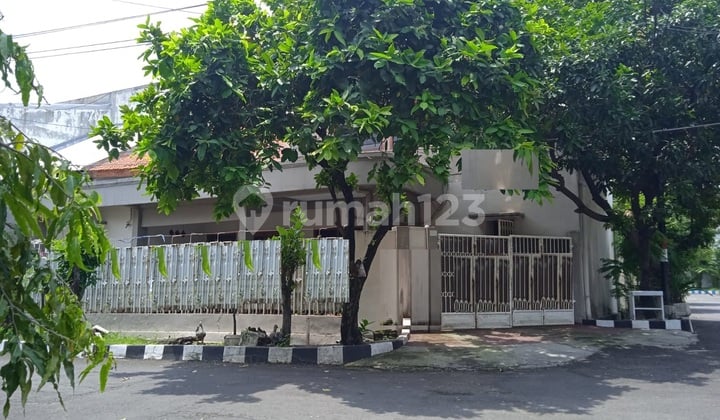 Rumah Hook Dijual di Darmo Permai Timur, Surabaya Rumah Hook Dijual di Darmo Permai Timur, Surabaya
