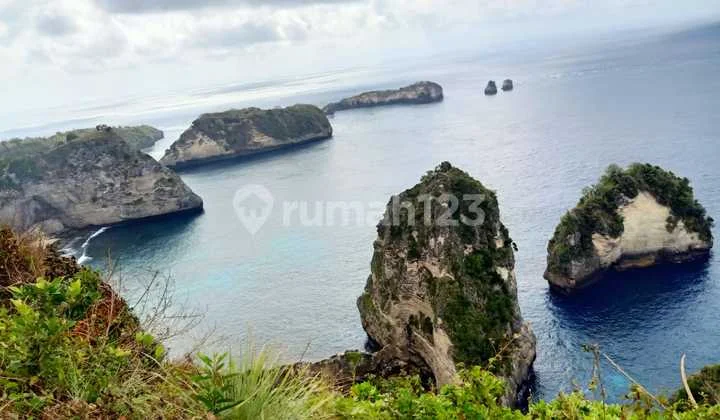 Home stay for lease nusa penida Home stay for lease nusa penida