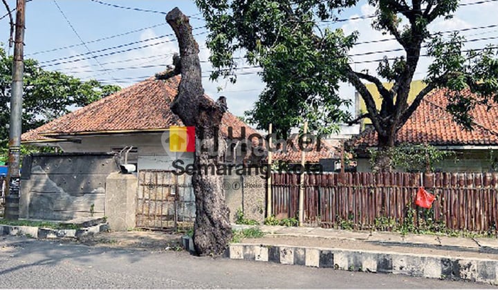 Rumah Sewa tengah kota semarang ( ML )