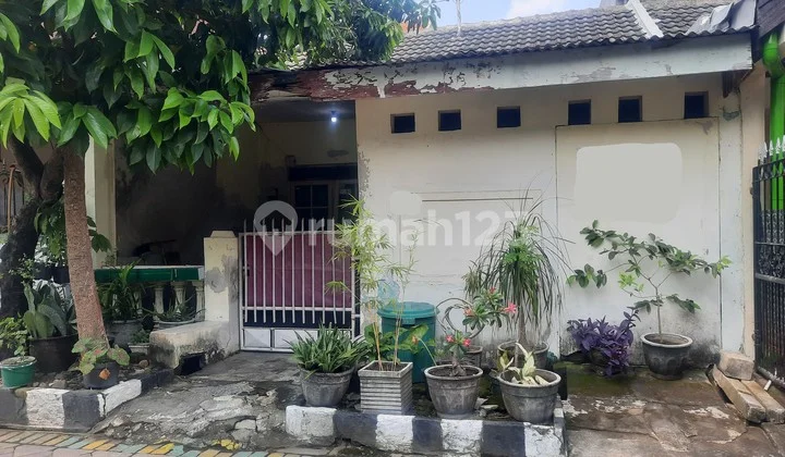 Rumah Hitung Tanah Babatan Pilang Rumah Hitung Tanah Babatan Pilang