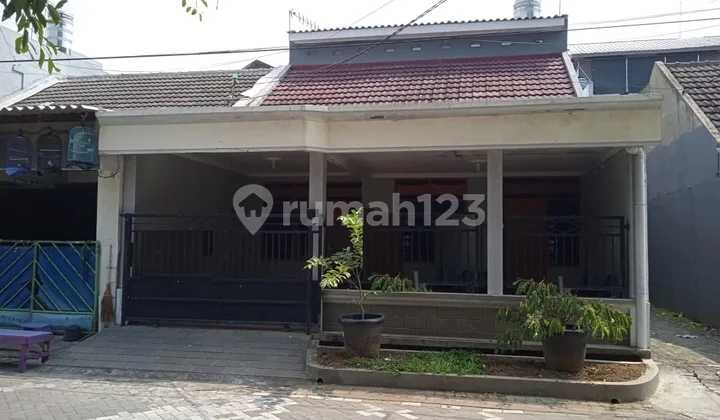 Dijual Rumah Siap Huni Di Gunungsari Indah Surabaya Dijual Rumah Siap Huni Di Gunungsari Indah Surabaya