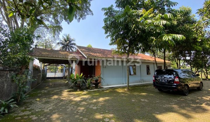 DiJual tanah 9350m bonus rumah & kebun buah di kemang bogor