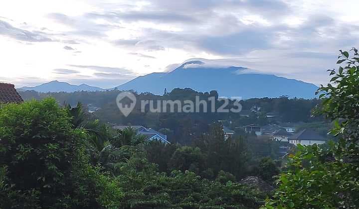 Rumah cluster country Wood kawasan argenia sentul city