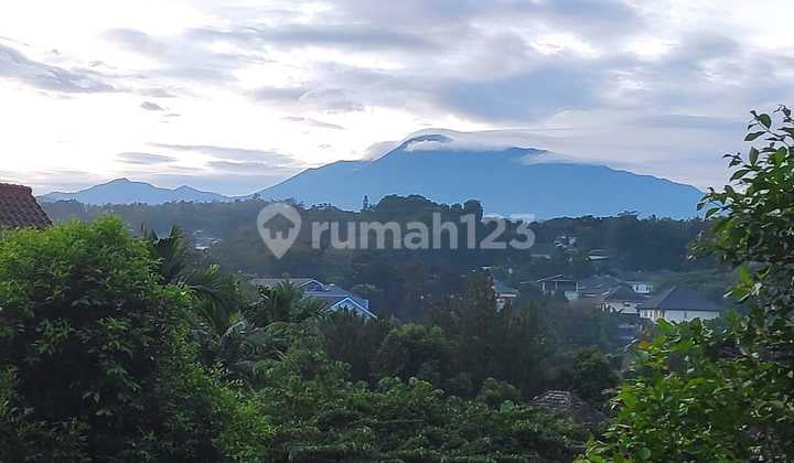Rumah cluster country Wood kawasan argenia sentul city
