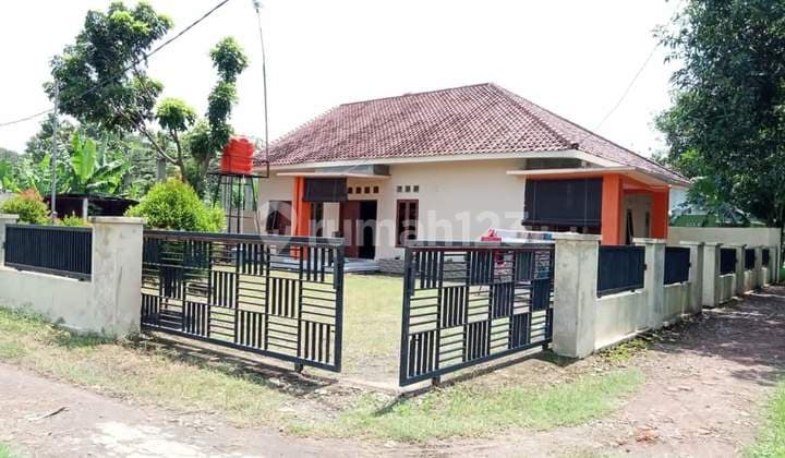 Rumah di Jual dengan Taman Luas
