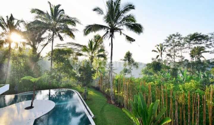 VILLA MODERN VIEW LEMBAH DI GIANYAR