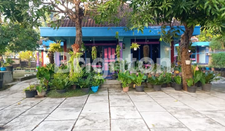 TANAH BONUS RUMAH DEKAT KAMPUS UNY YANG BARU