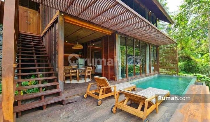 Villa diubud dengan view sungai dan hutan langsung