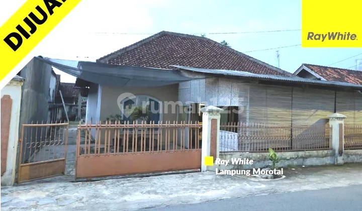 Rumah di Pringsewu Rumah di Pringsewu