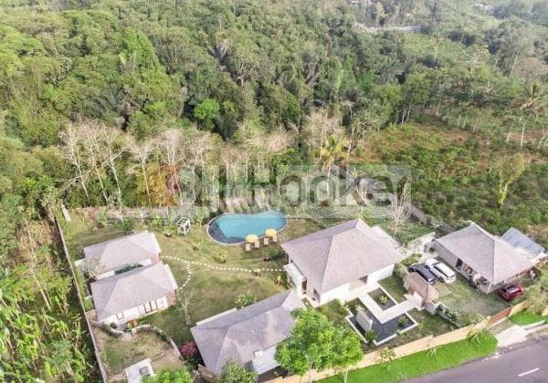 Luxury Villa with Stunning View For Sale At Payangan, Gianyar
