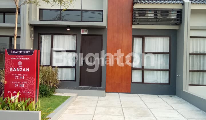 HARVEST CITY TYPE SAKURA INDICA KANZAN