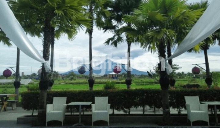 Promo Villa Sawah Konsep Joglo Di Daerah Yang Damai, Sejuk Dan Tenang Yang Berlokasi Di Sleman Bagian Utara Yogyakarta