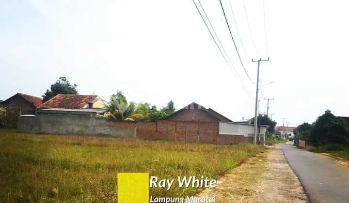 tanah tanjung senang