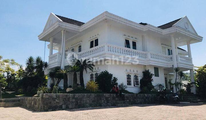 Sultan Wajib Punya Villa Mewah Besar Dan Luas Ini Di CianjuR