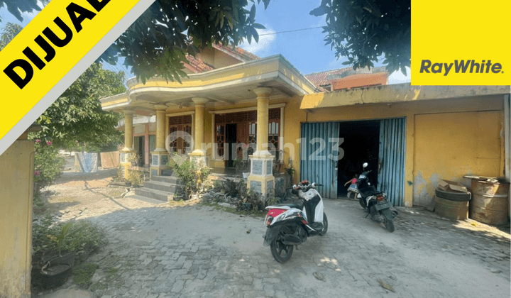 Rumah Jl Cemara,Menggala Selatan