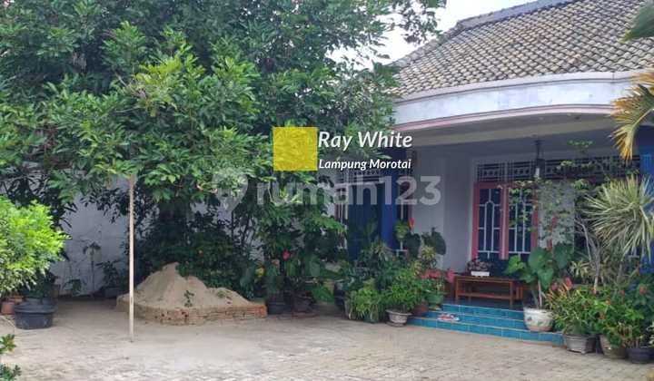 Rumah Siap Huni ml