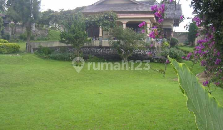 Dijual Villa Luas Dan Bagus Di Cipanas, Puncak