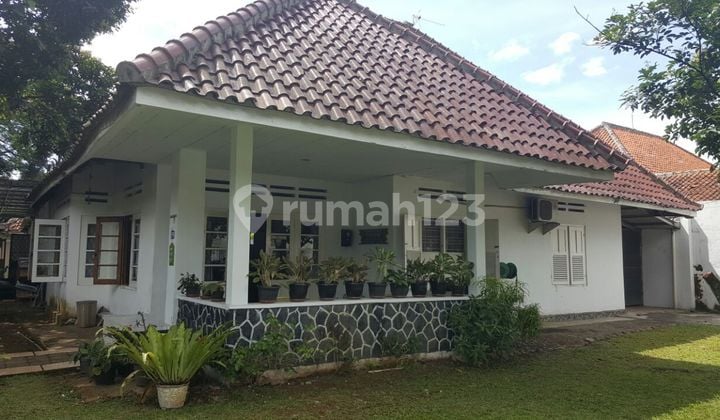 Rumah Antik Gaya Belanda Depan Istana Dan Kebun Raya Bogor