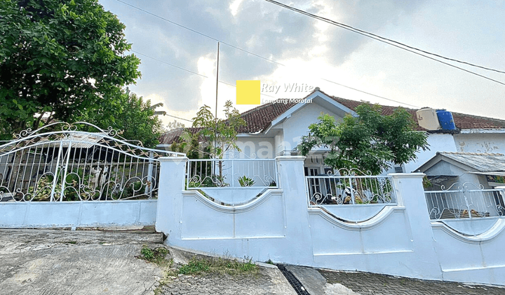 Rumah Jalan Pagar Alam Gunung Terang,Langkapura Bandarlampung