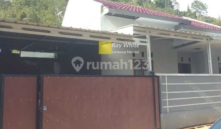 House near SMAN 3 and STKIP Palapa Campus.