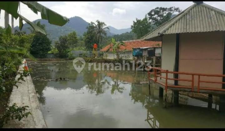 House Land with Chicken Coop Pond in Gentong, Tasikmalaya