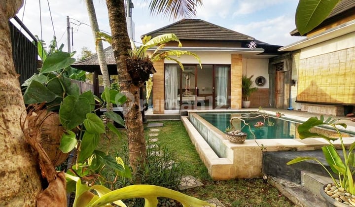 Villa 2 Bedrooms VIEW Sawah Di Padonan, Canggu Bali