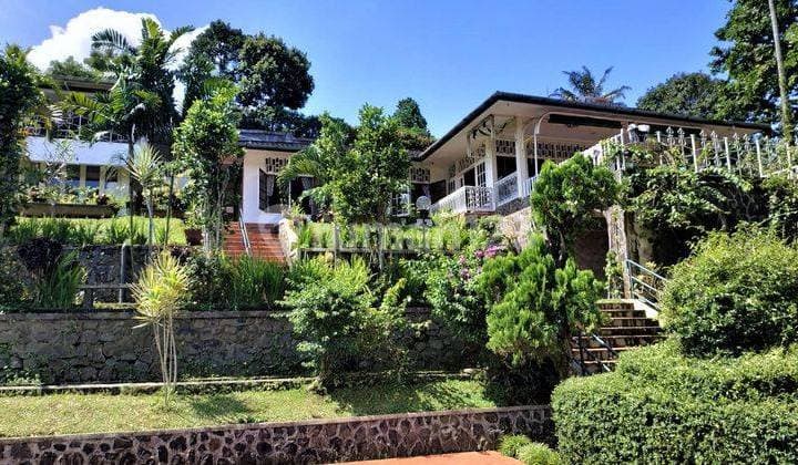 Jual Cepat Turun Harga Villa Asri Cibogo Megamendung Puncak Bogor