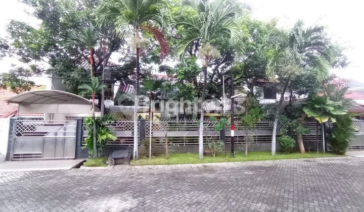 Rumah Terawat Jl Kendangsari Rumah Terawat Jl Kendangsari