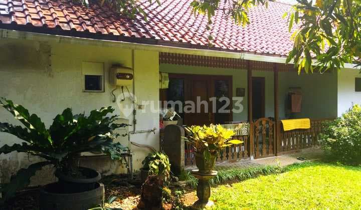 Rumah Klasik yang Nyaman Strategis di Menteng Cocok untuk Rumah Cafe Kantor Restoran #Dd