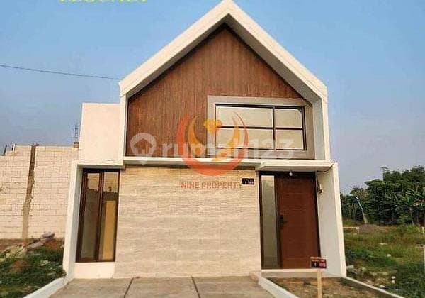 Velvet legundi hanya bayar 1 jta langsung proses bank free biaya